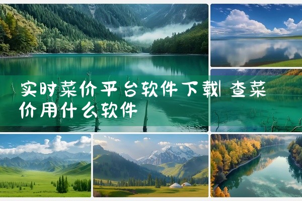 实时菜价平台软件下载