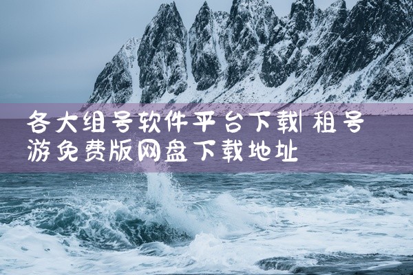 各大组号软件平台下载