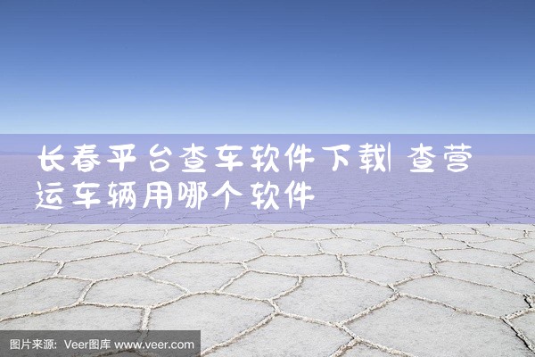 长春平台查车软件下载