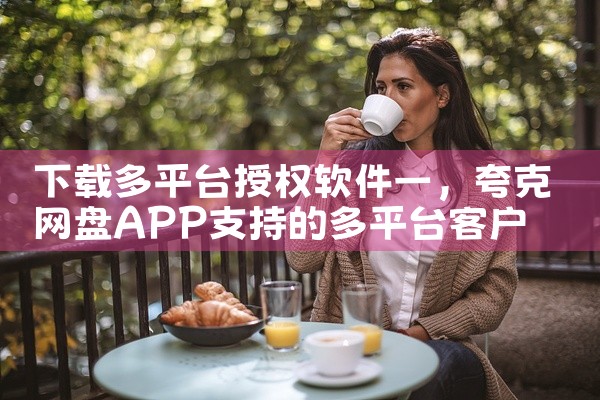 下载多平台授权软件一
