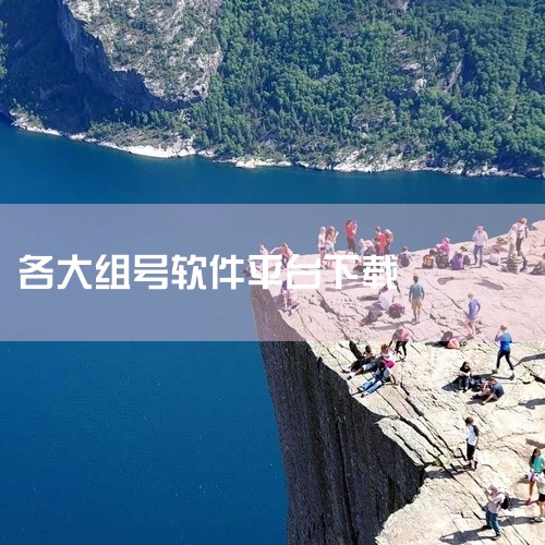全民租号是一款提供游戏账号租赁服务的软件,用户可以通过该平台租借其他用户的游戏账号,体验不同的游戏角色、武器和装备等。该软件具有安全、便捷、快速的特点,让用户可以随时随地畅游游戏世界。全民租号的应用程,