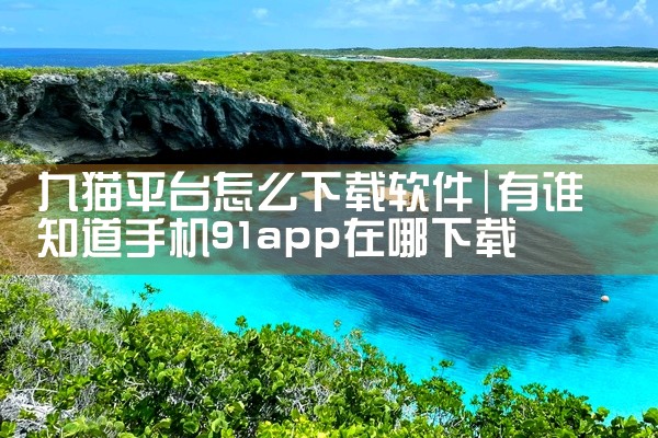 九猫平台怎么下载软件