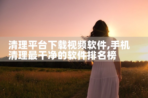 清理平台下载视频软件