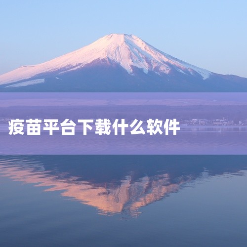 首都疫苗服务APP是一款安卓手机软件,名称标注为2026官方版和最新版。该应用定位于日常工具使用场景,主要服务于疫苗相关服务的查询与操作。适合希望快速完成常见操作并保持体验稳定的用户,尤其适用于需要便,