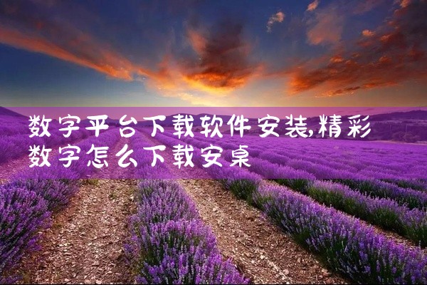 数字平台下载软件安装