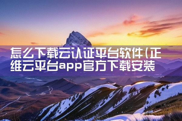 怎么下载云认证平台软件
