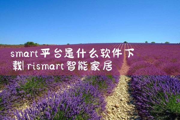 smart平台是什么软件下载