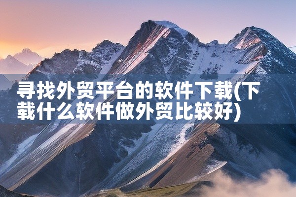 寻找外贸平台的软件下载